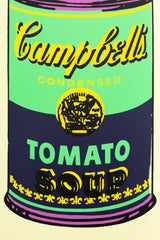 Andy warhol coloured campell's soup eggplant original art solo deck by THE SKATEROOM bottom edition