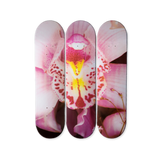 Nobuyoshi Araki's Orchid skateboard art by the skateroom
