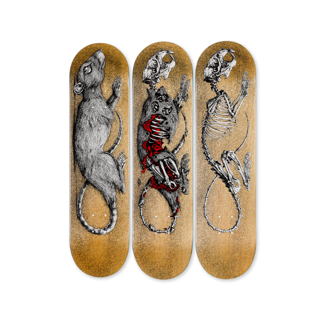 ROA's Decay skateboard art by the skateroom