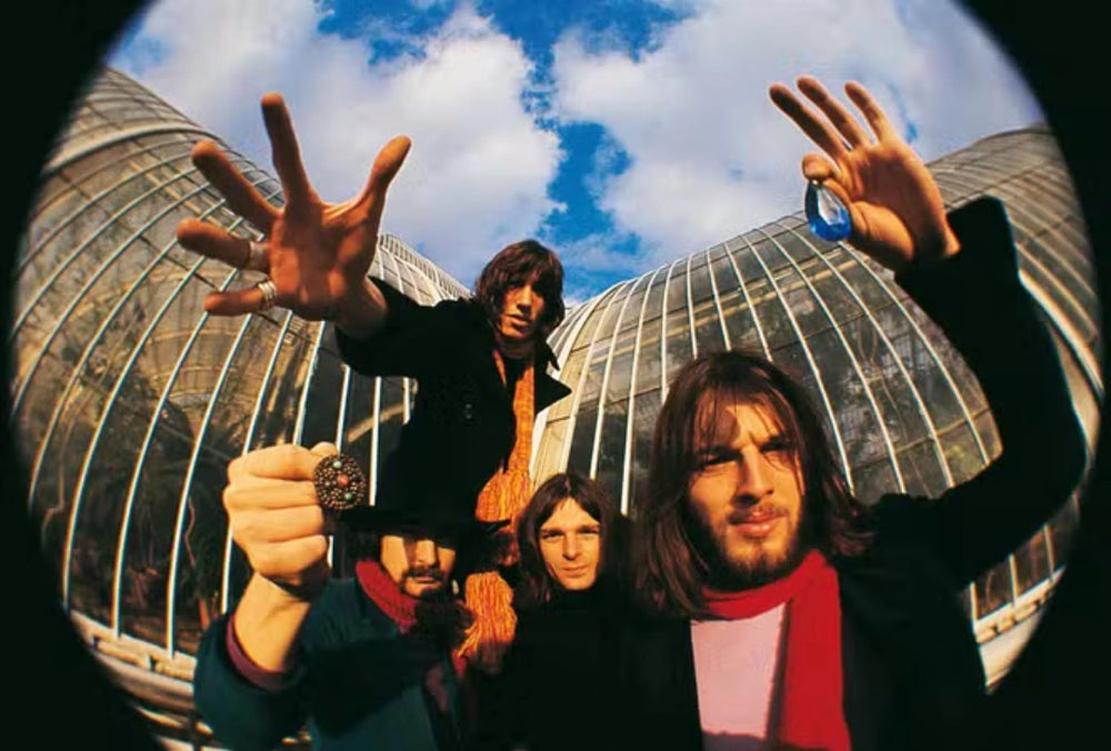 Portrait of Pink Floyd