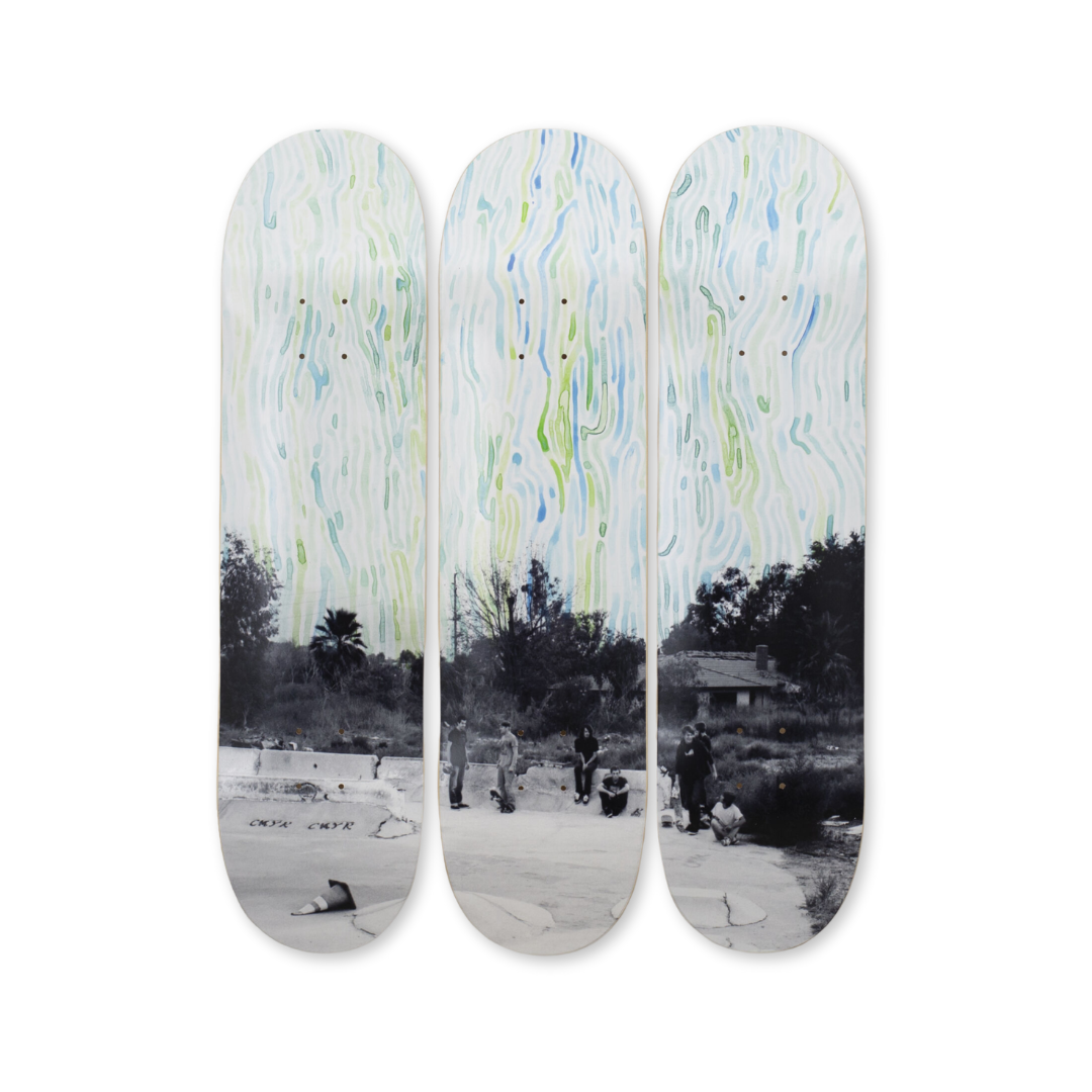 We Thrive in the Wastelands, Norco, Hand-signed by Ed Templeton