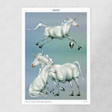 Lulu Lin Even the Purest Magic limited edition art print by The Skateroom, flat lay view showing full print on grey background