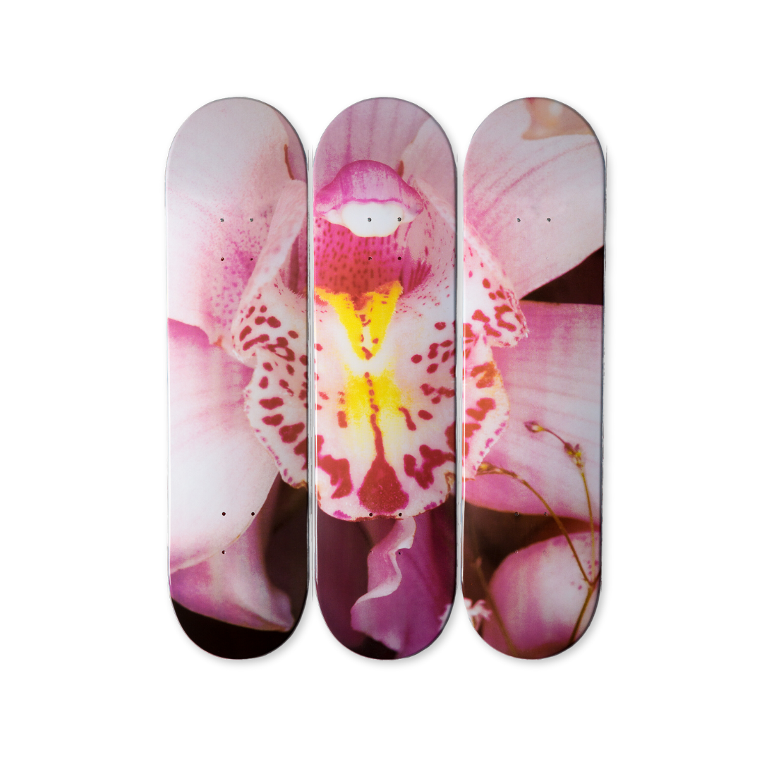 Nobuyoshi Araki's Orchid skateboard art by the skateroom