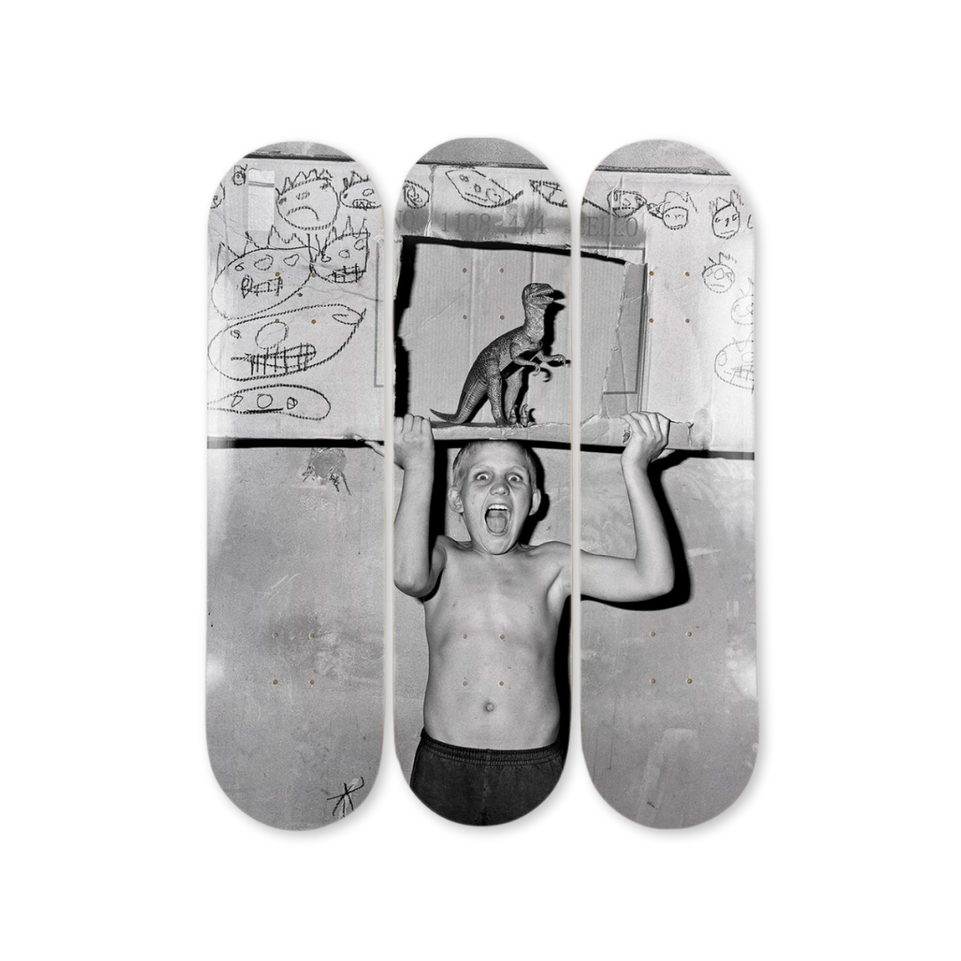 Roger Ballen's Roar skateboard art by the skateroom