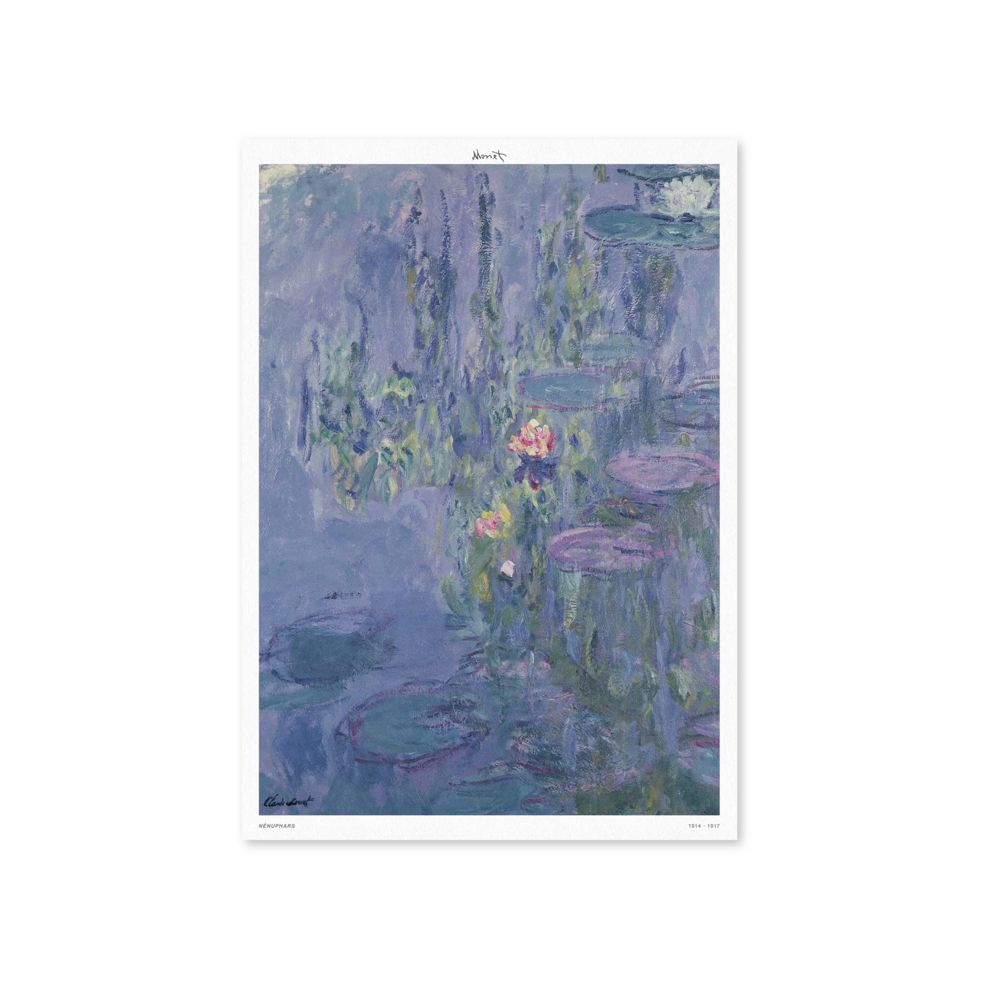 Nénuphars - Print