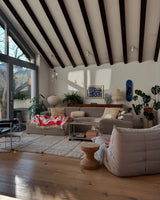 Stylish living room with the Henri Matisse 'Icare - Plate 8 of Jazz' skate deck elegantly displayed on the wall, complementing mid-century modern decor and lush greenery.