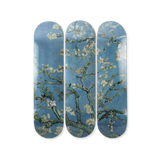 Vincent Van Gogh's Almond Blossoms skateboard art by the skateroom