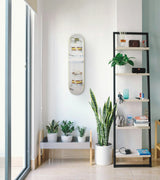 Modern interior with a shelf, mirror, and potted plants, and the Doubledecker Skateboard by Jeff Koons on the wall.