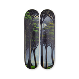 Two skateboard decks with El Sonido de Aguas artwork by Tomas Sanchez